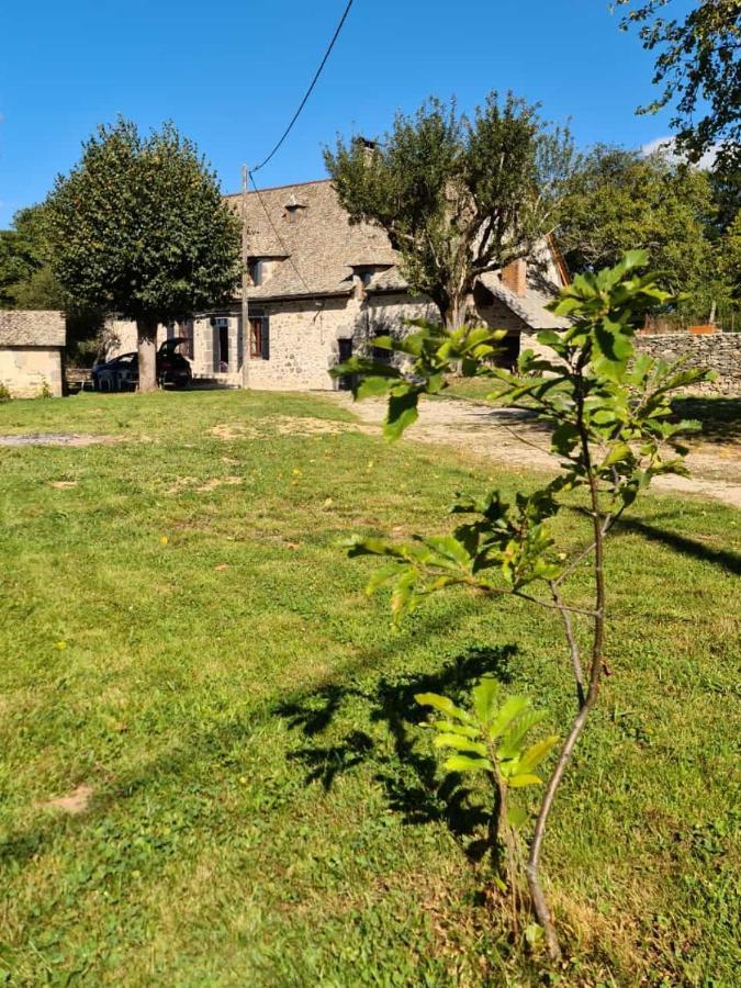 Maison Typique Auvergnate, Piscine Et Four A Pain Saint-Christophe-Les-Gorges Eksteriør billede