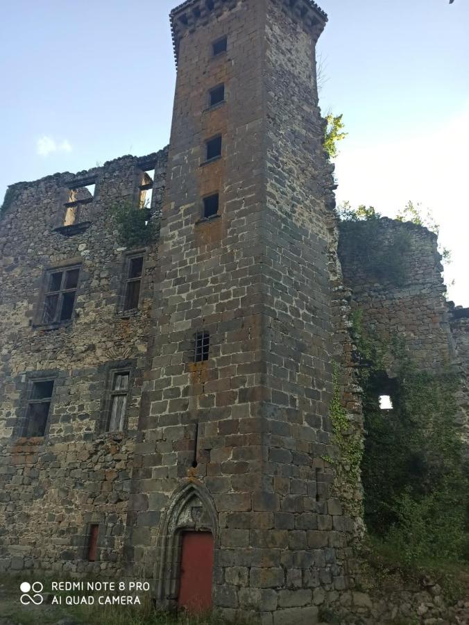 Maison Typique Auvergnate, Piscine Et Four A Pain Saint-Christophe-Les-Gorges Eksteriør billede